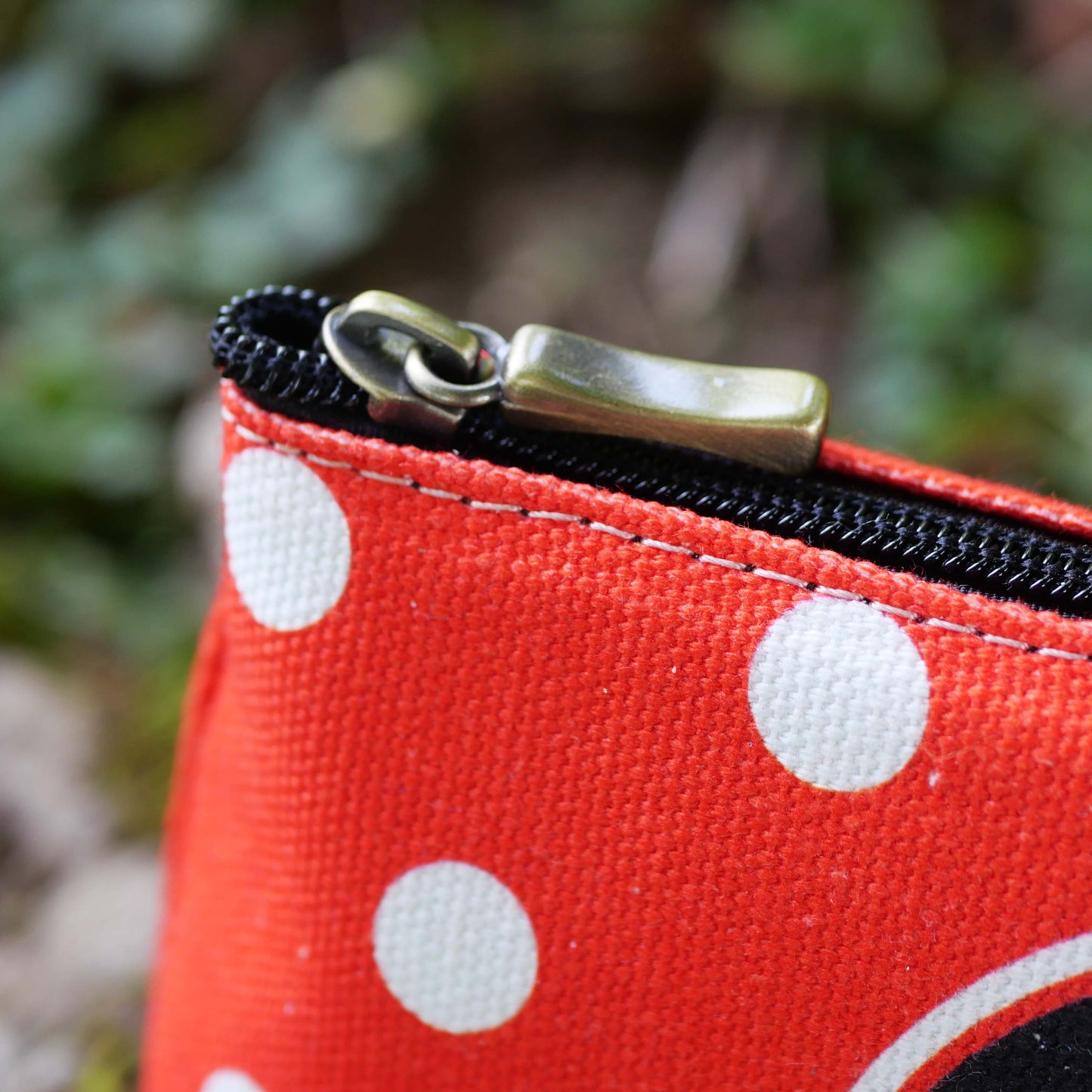 Trousse Dallas +Pois Rouge+